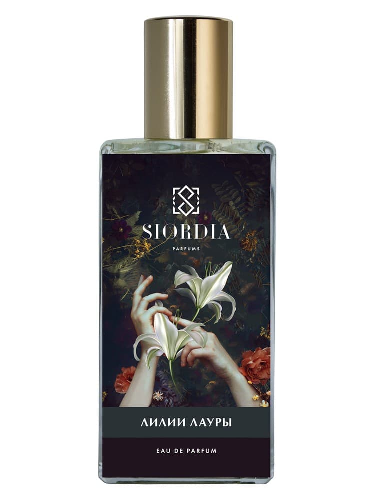 Laura s Lilies Lilii Laury