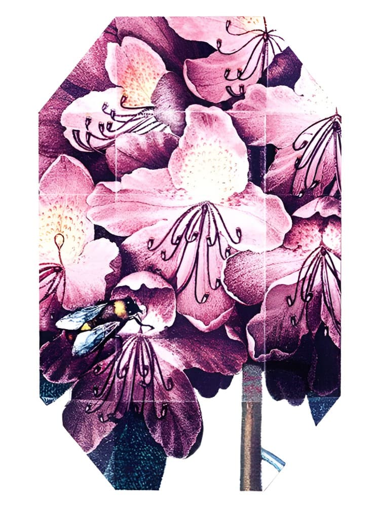 Print Collection Stella 01 2011