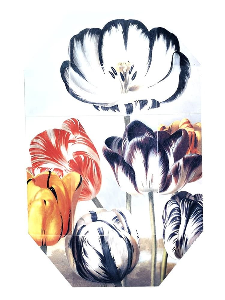 Print Collection Stella 02 2011