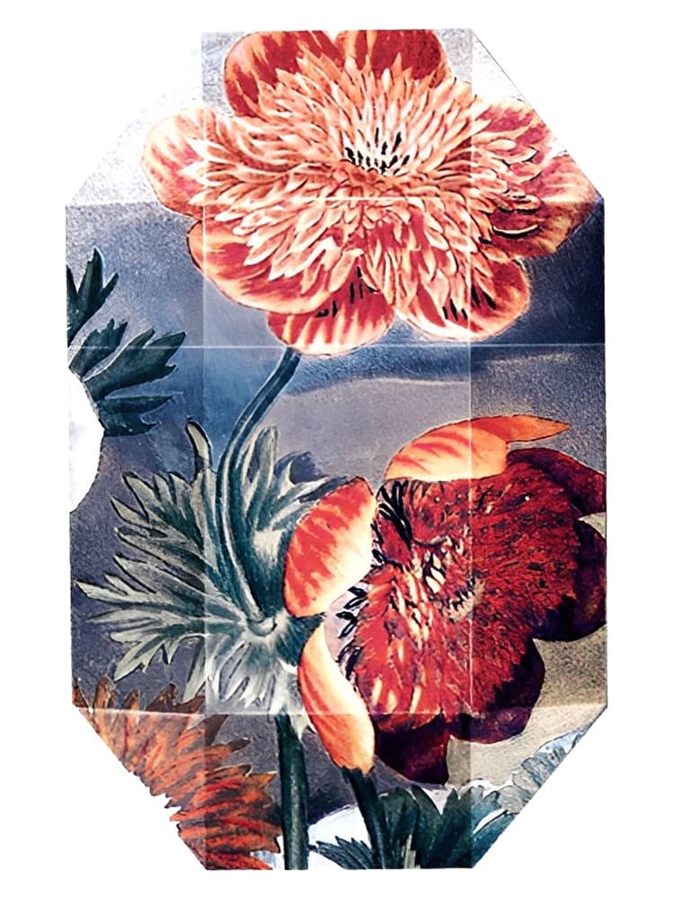 Print Collection Stella 03 2011