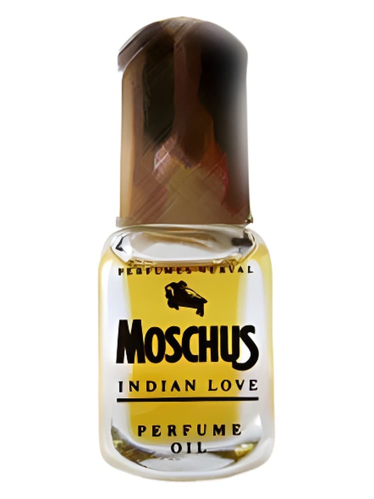 Moschus Indian Love