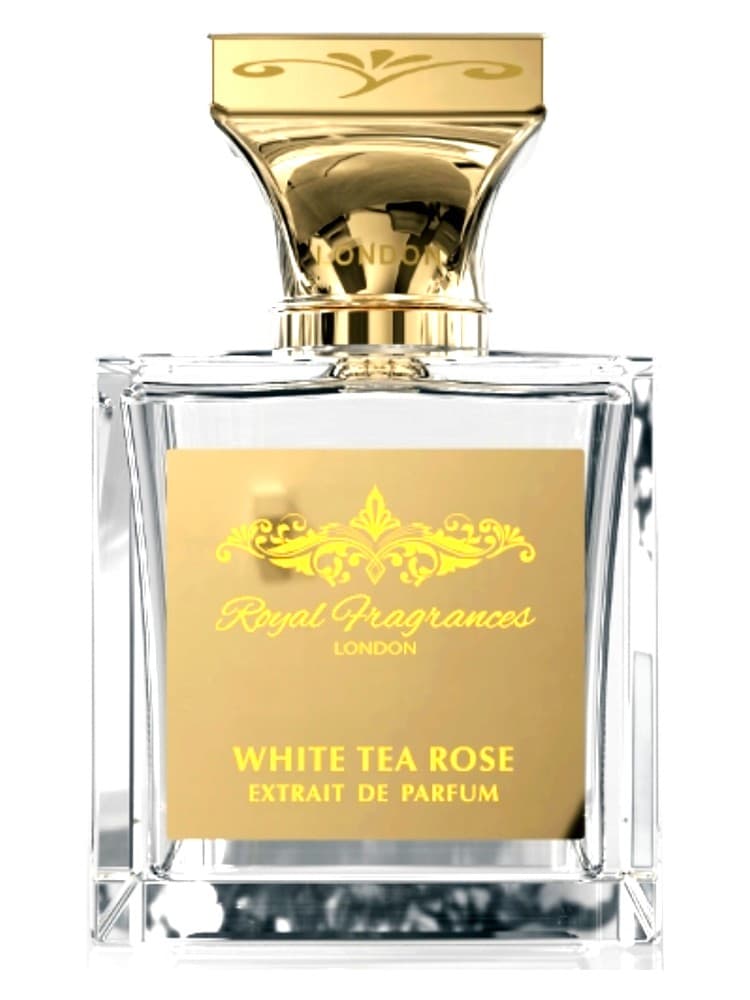 White Tea Rose