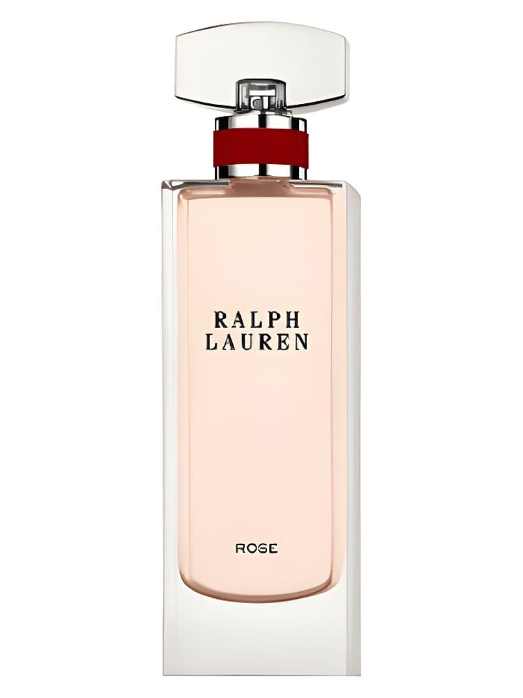 Legacy of English Elegance Rose