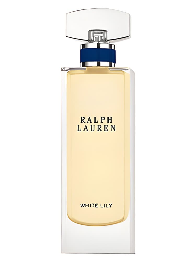 Portrait of New York White Lily