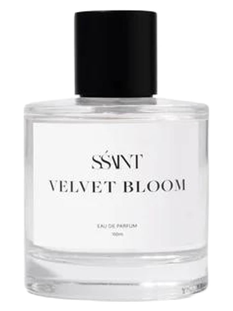 Velvet Bloom