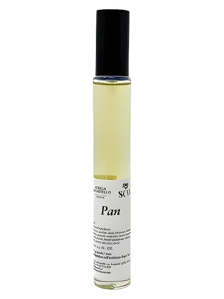 Pan