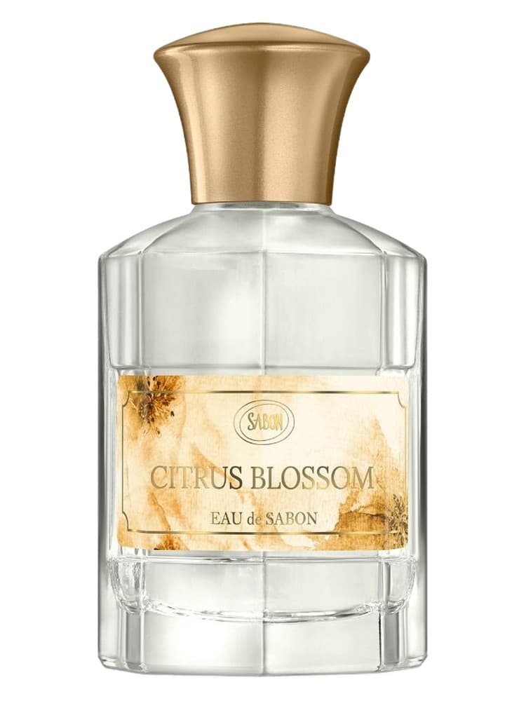 Citrus Blossom