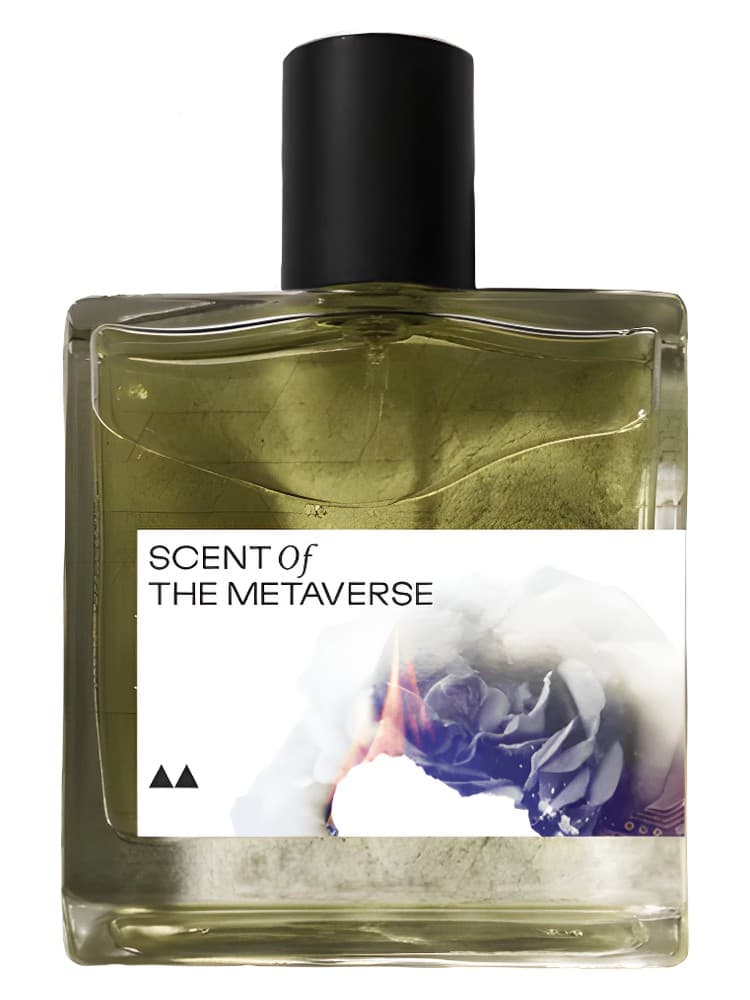 RSX The Scent of the Metaverse