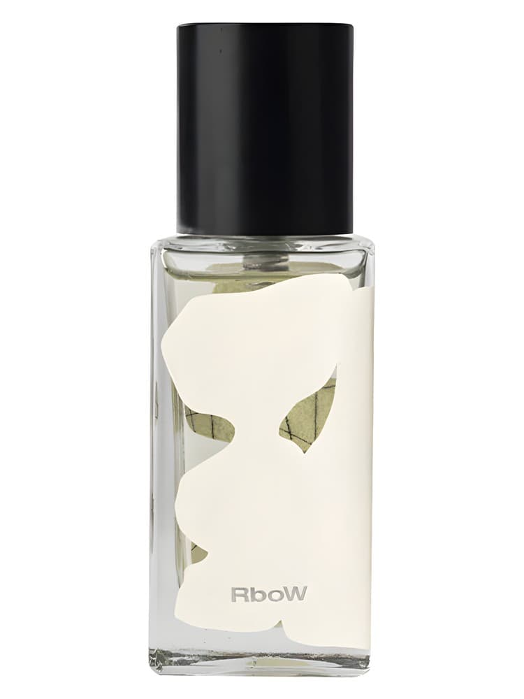 Case Study 12 Dance and Balance