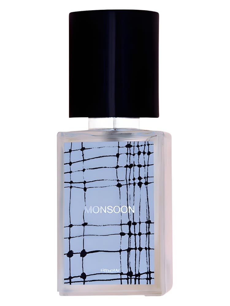 Case Study 11 Monsoon