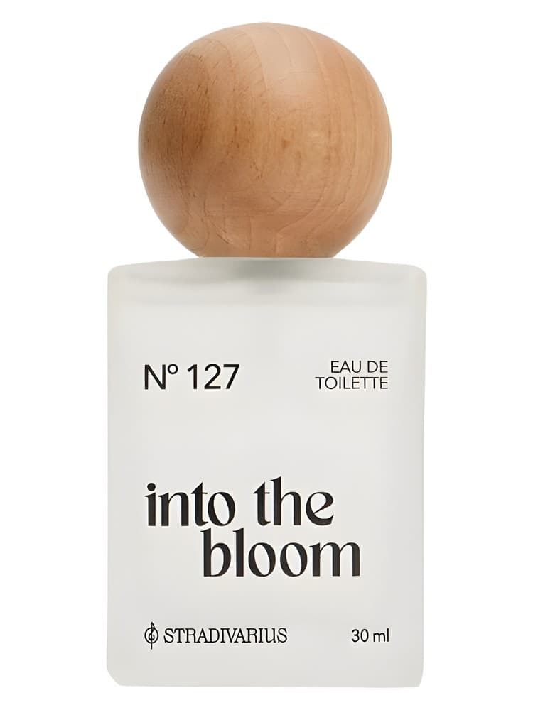 N 127 Into the Bloom