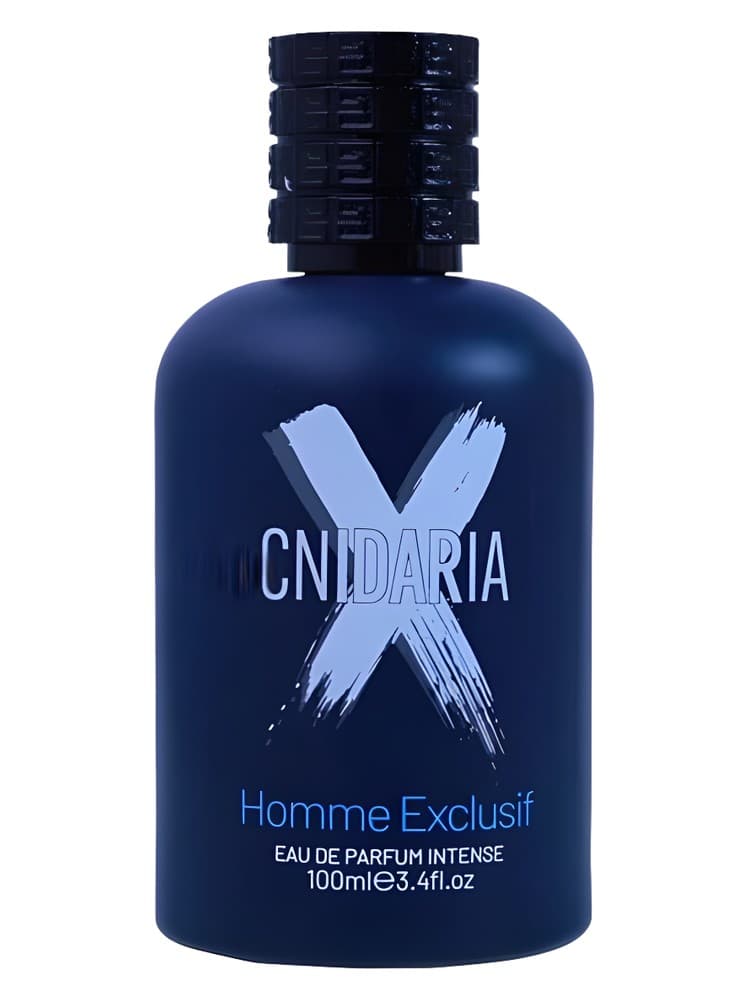 Cnidaria X Homme Exclusif