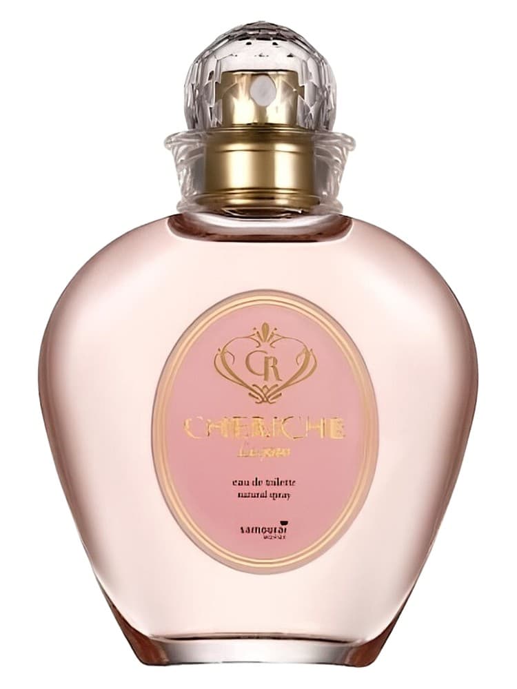 Samourai Woman Cheriche Le Jour