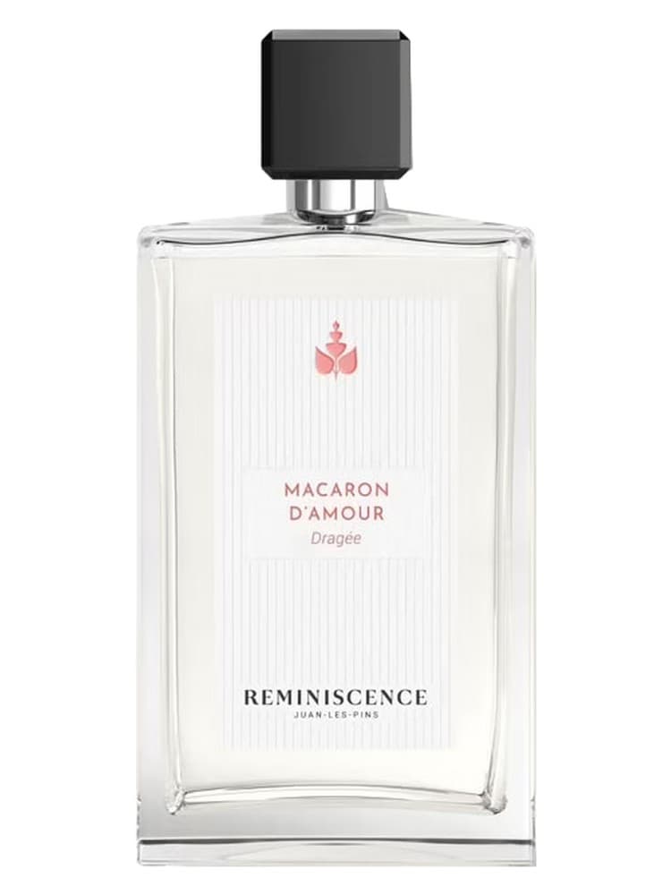 Macaron d Amour Dragee