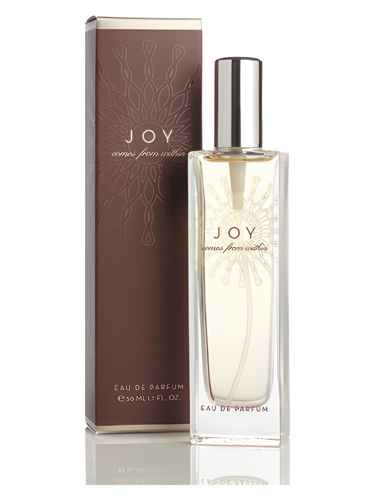 What Comes From Within Joy