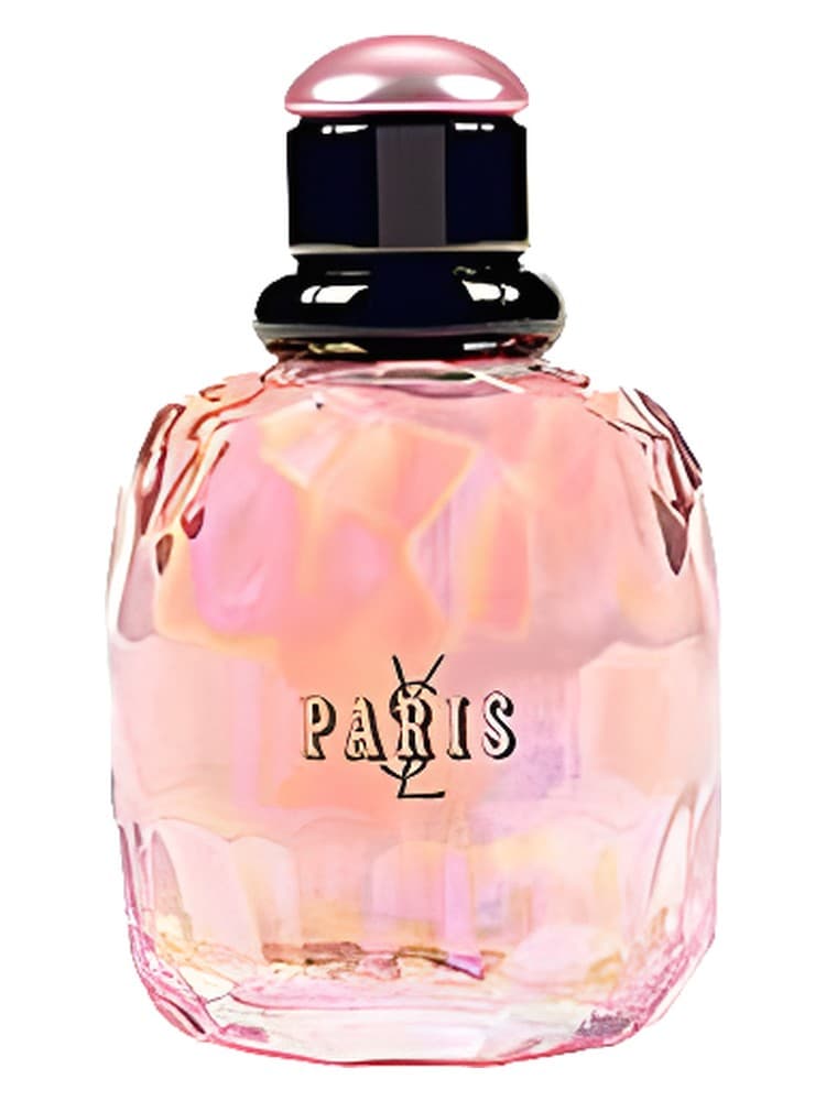 Paris Pont des Amours