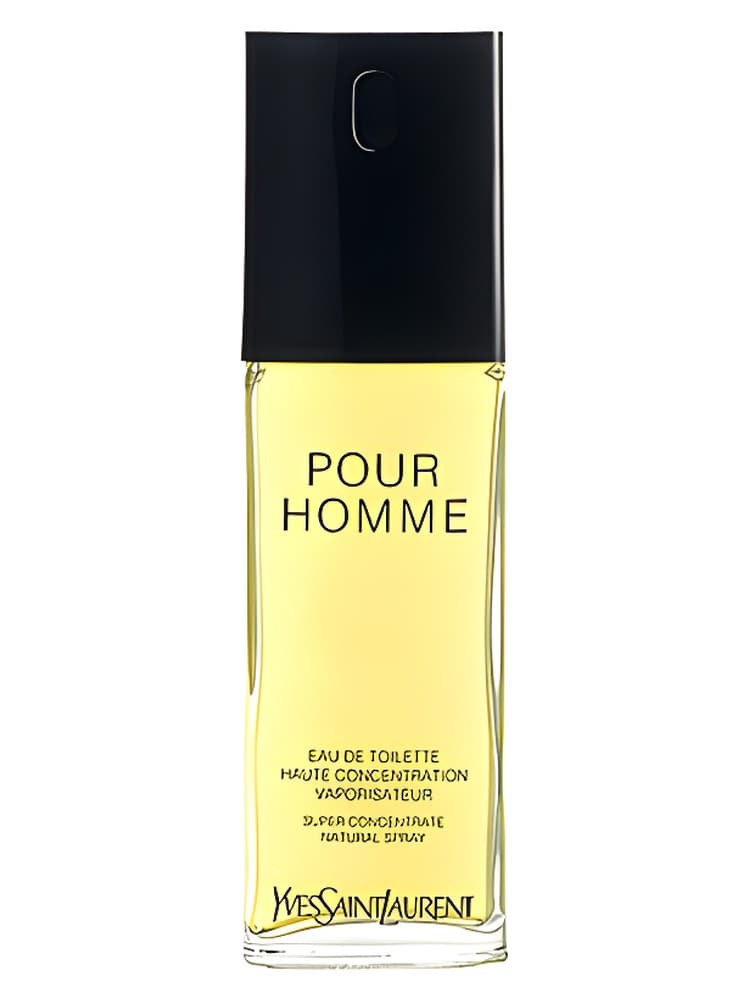 Yves Saint Laurent Pour Homme Haute Concentration