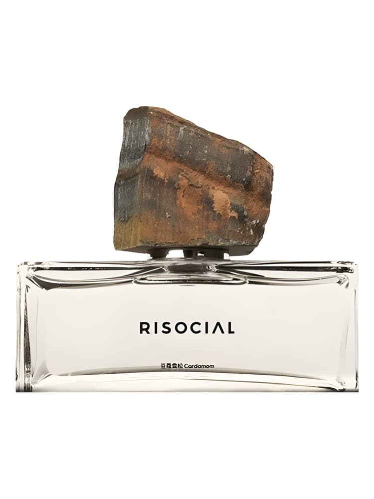 Cardamom dou kou xue song