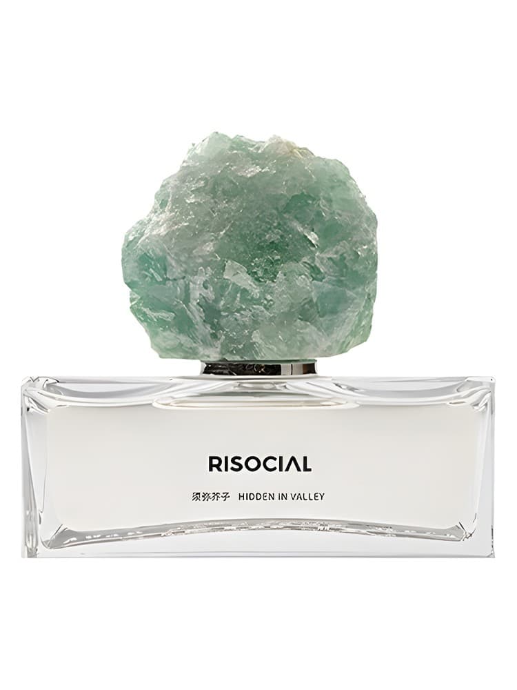 Hidden In Valley xu mi jie zi