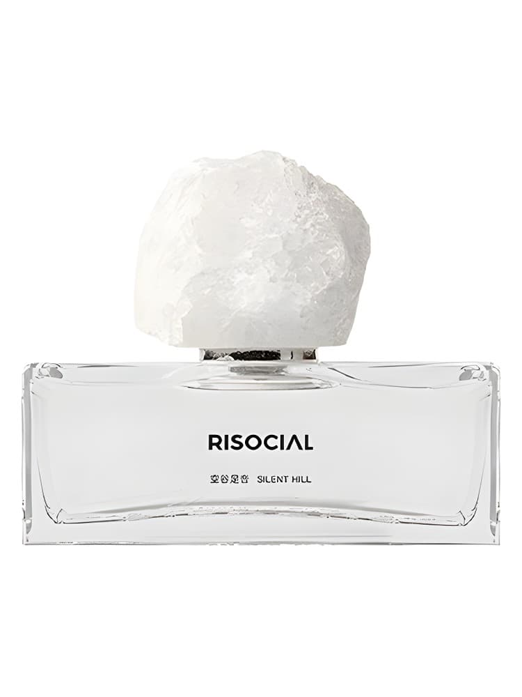 Silent Hill kong gu zu yin