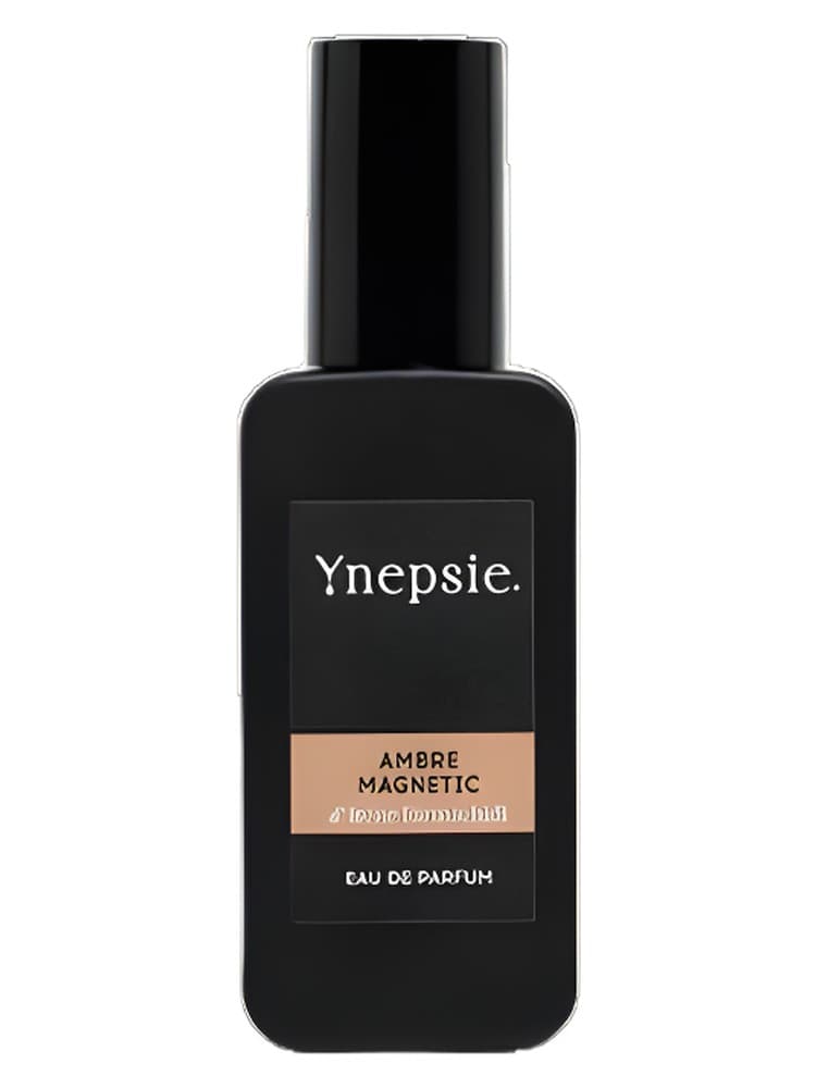 Ambre Magnetic