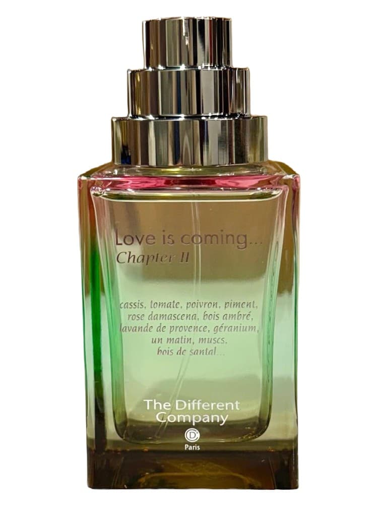 Love is coming Chapter II