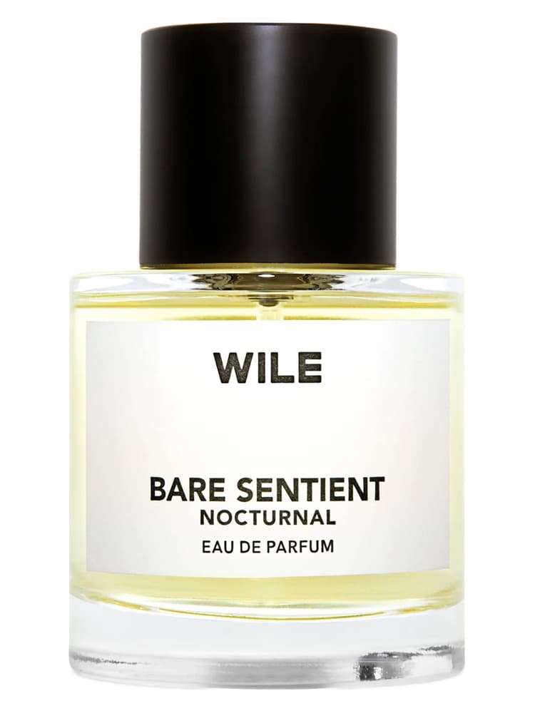 Bare Sentient Nocturnal