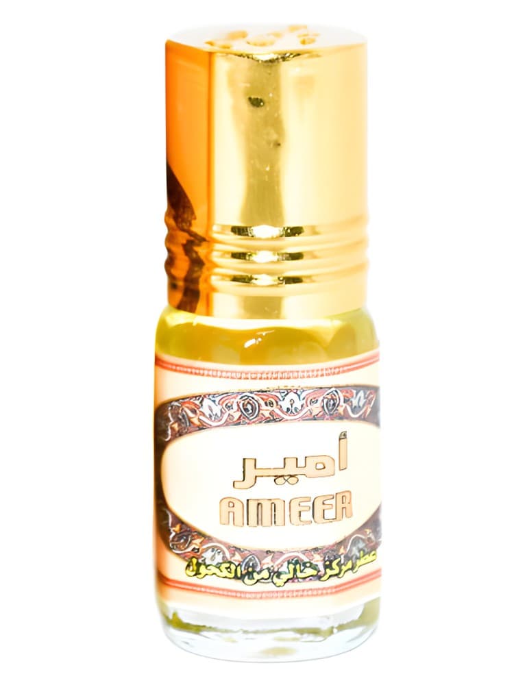 Ameer