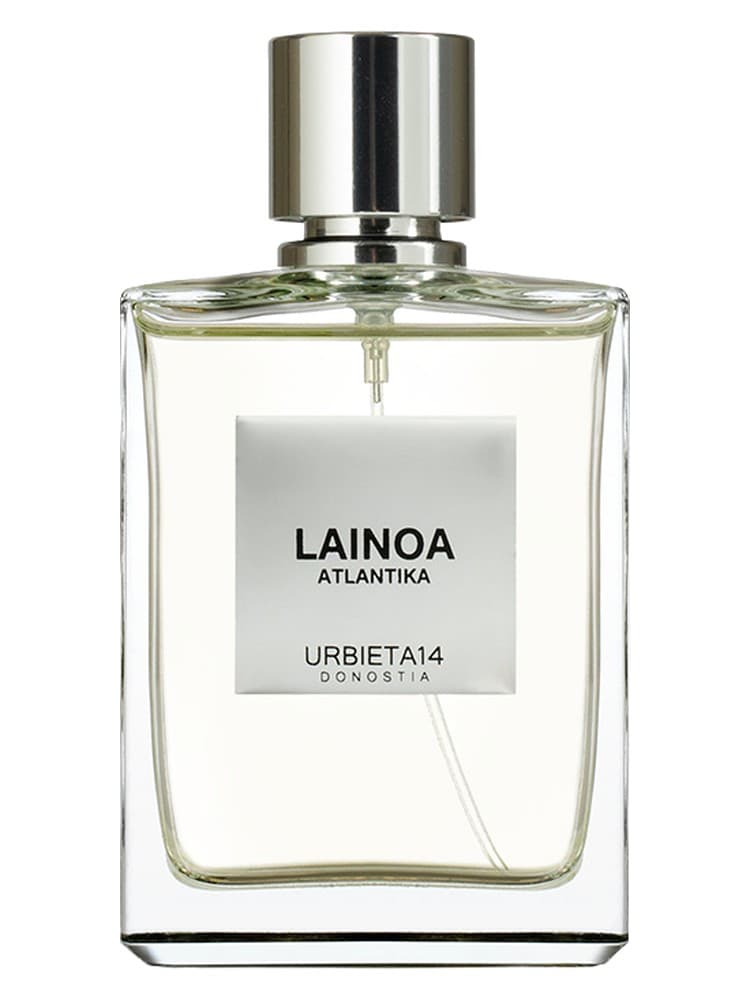 Lainoa
