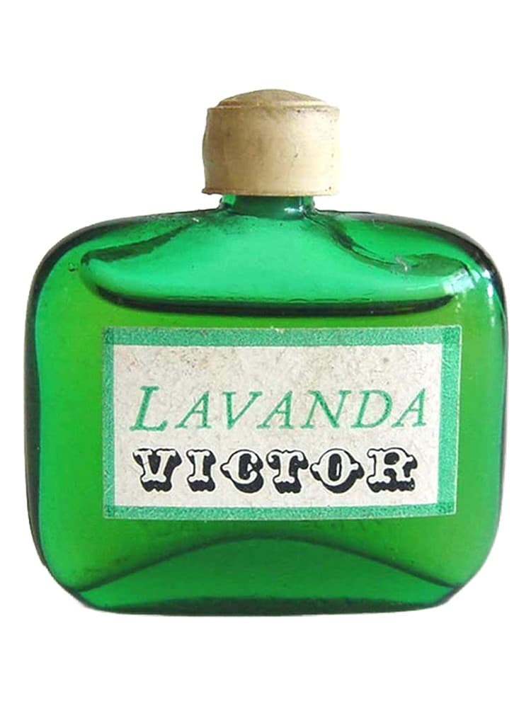 Lavanda