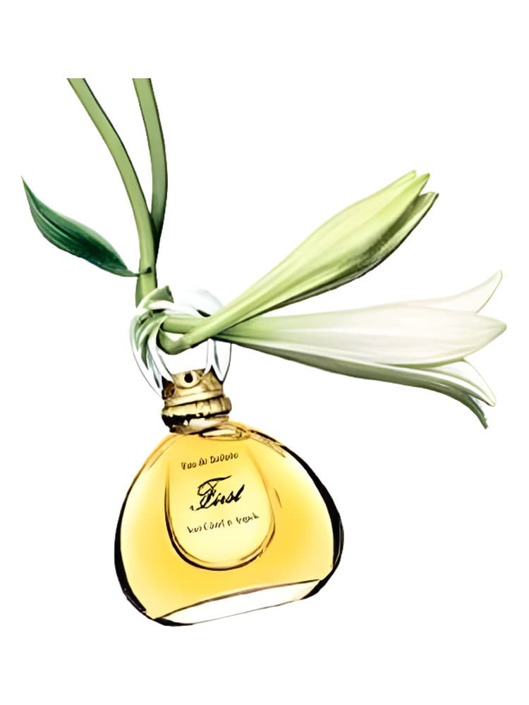 First Jasmin de Chine