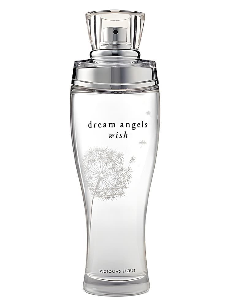 Dream Angels Wish