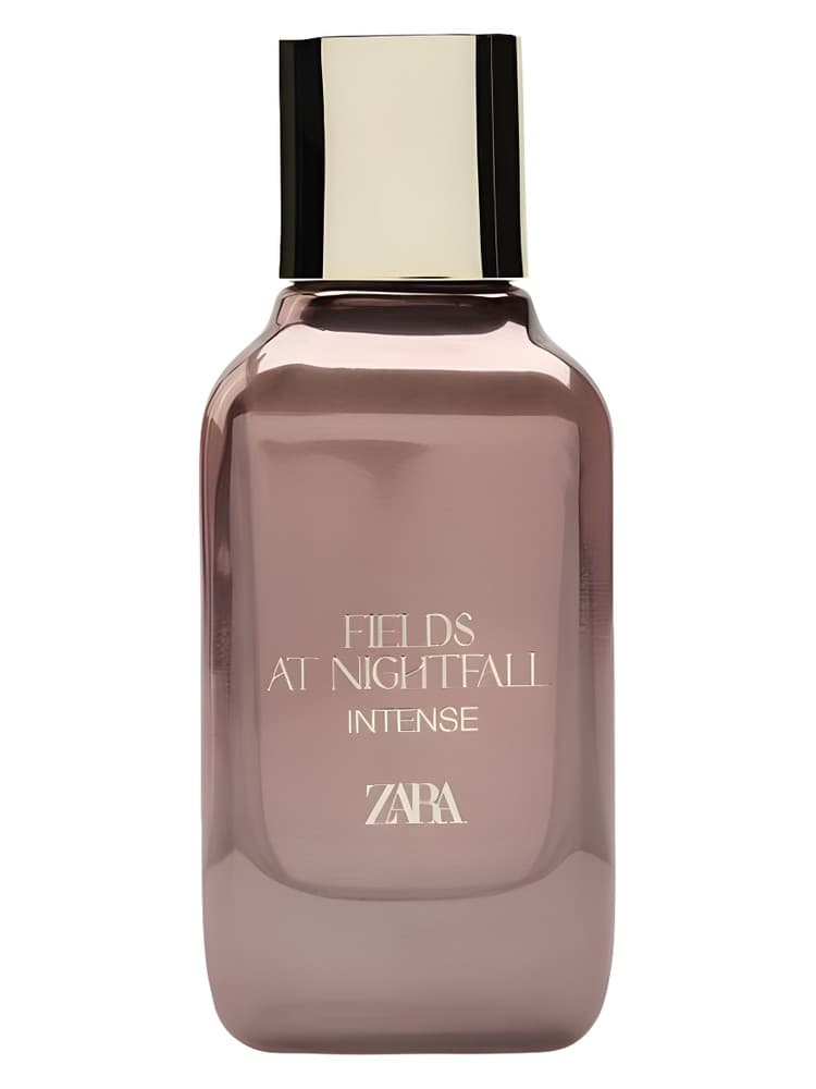 Fields at Nightfall Intense 2024