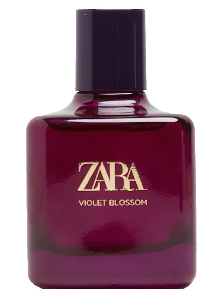 Violet Blossom
