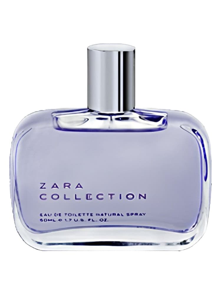 Zara Collection Woman