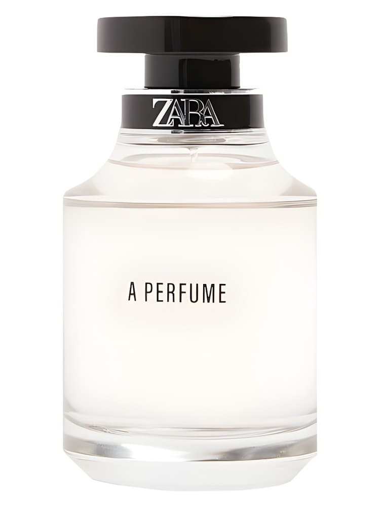 A Perfume