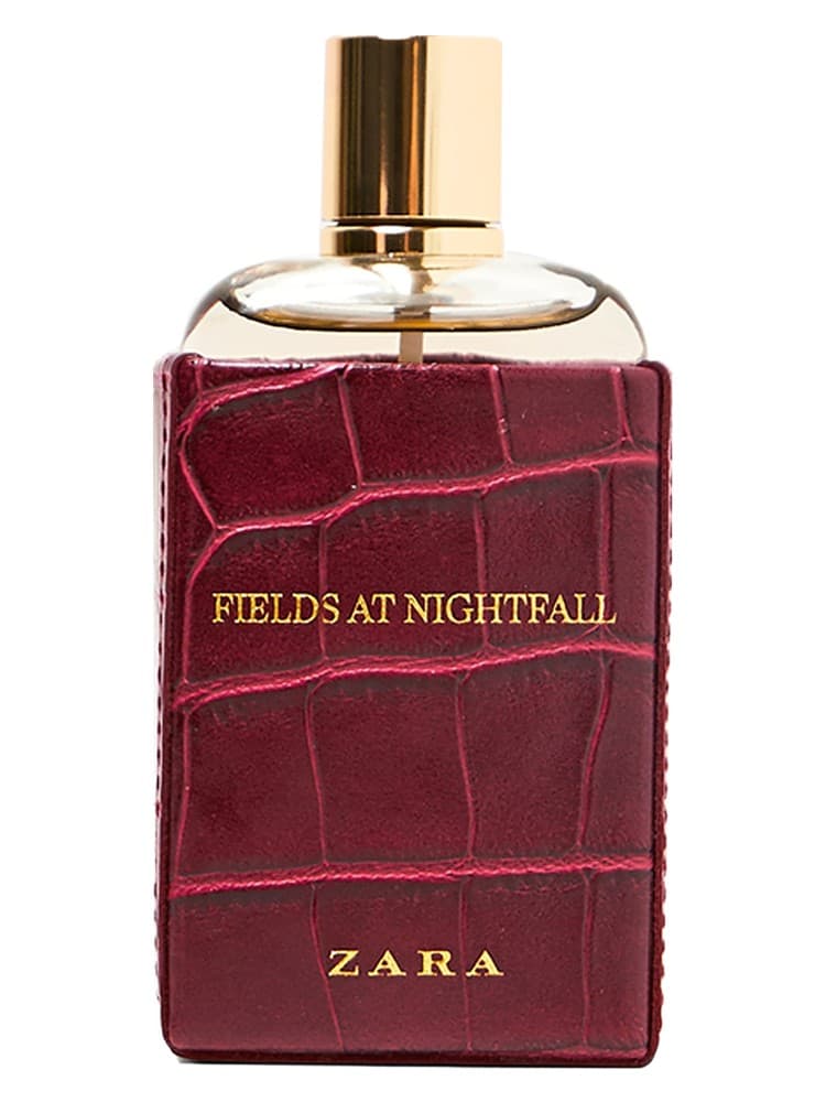 Fields at Nightfall 2018