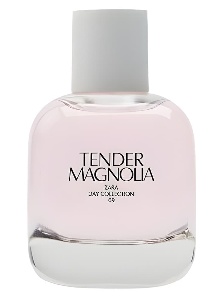 Tender Magnolia
