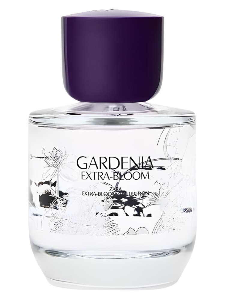 Gardenia Extra Bloom