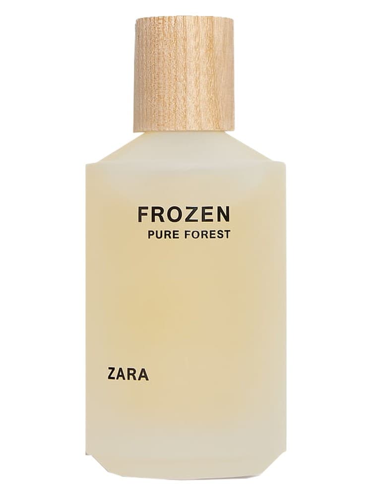 Frozen Pure Forest