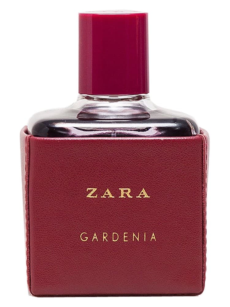 Zara Gardenia 2016