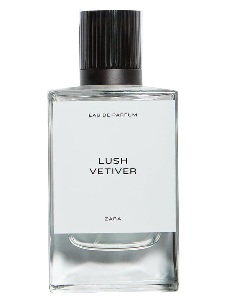 Lush Vetiver