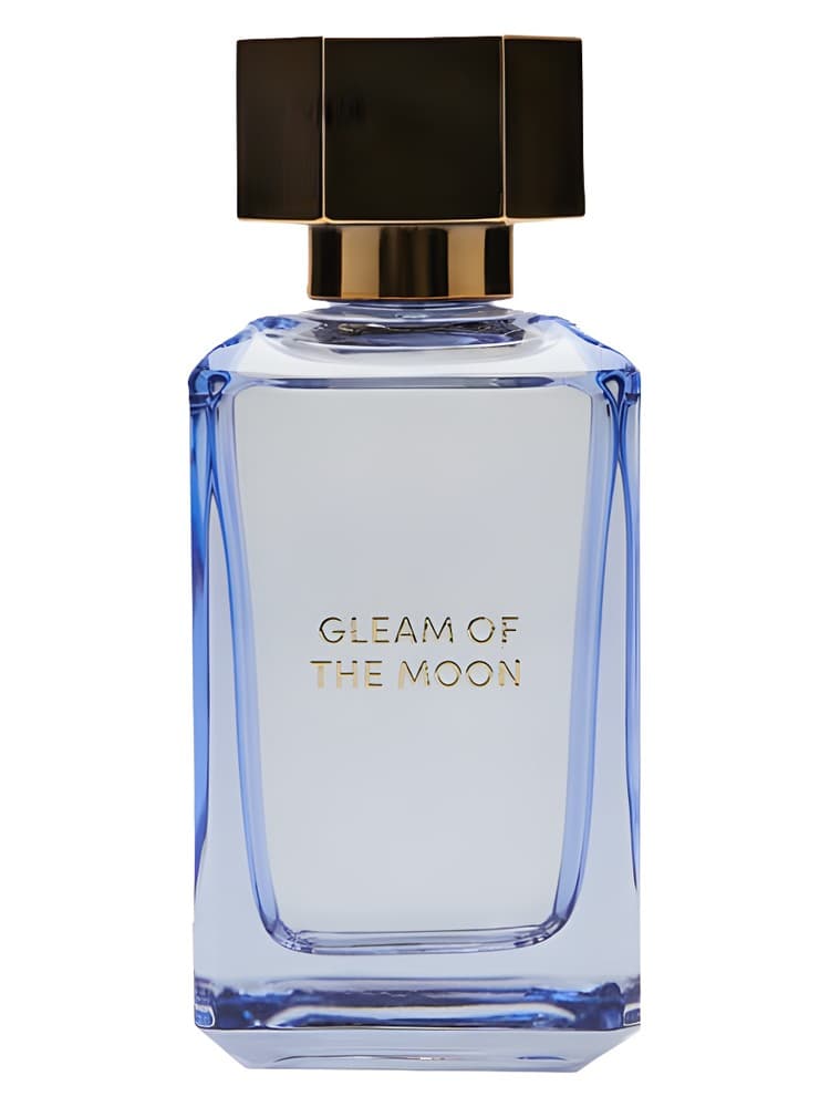 Gleam Of The Moon Into The Gourmand