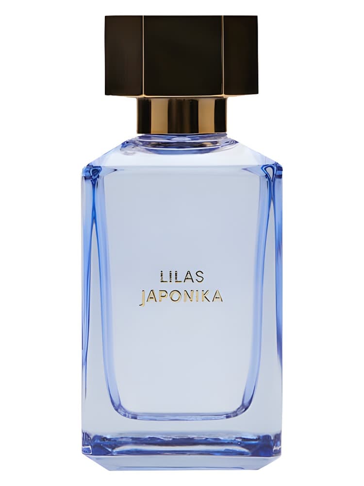 Lilas Japonica Into The Floral