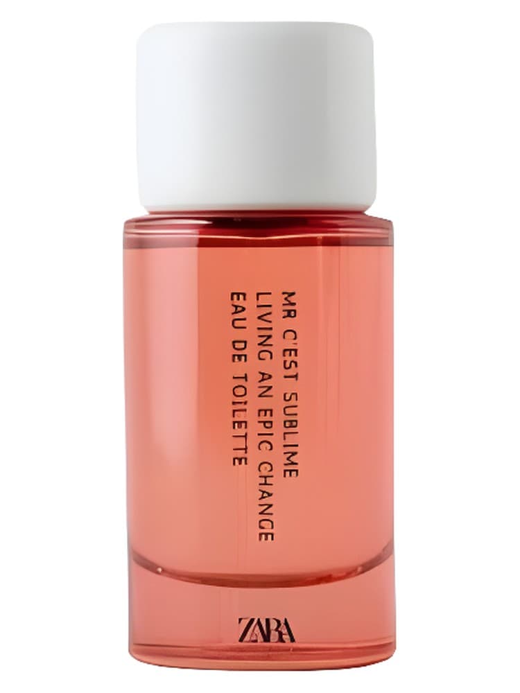 Mr C est Sublime Living An Epic Change