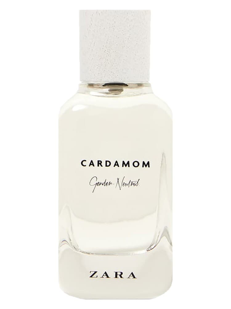 Cardamom Gender Neutral