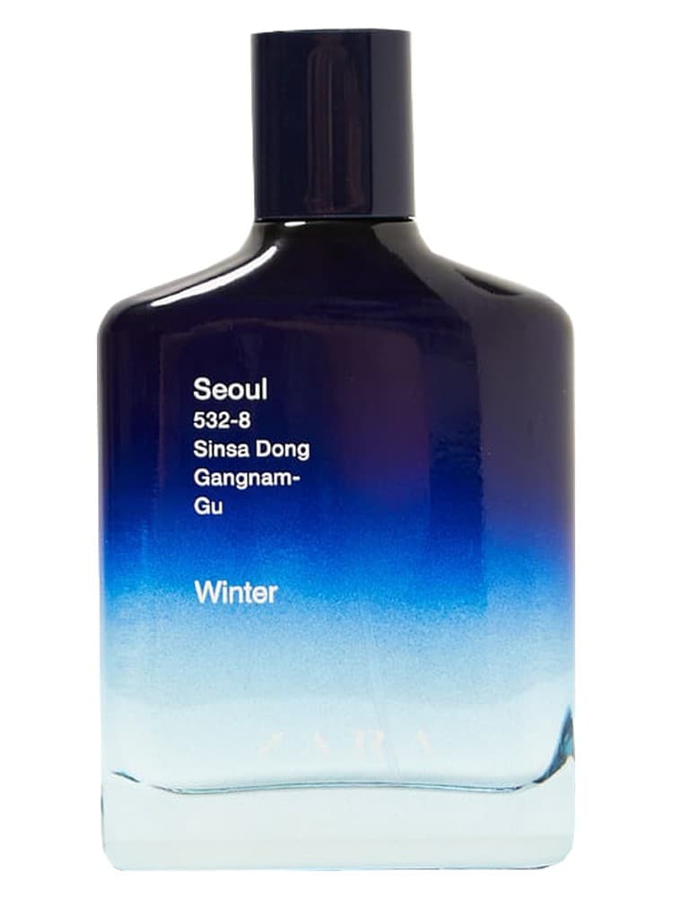 Seoul 532 8 Sinsa Dong Gangnam Gu Winter