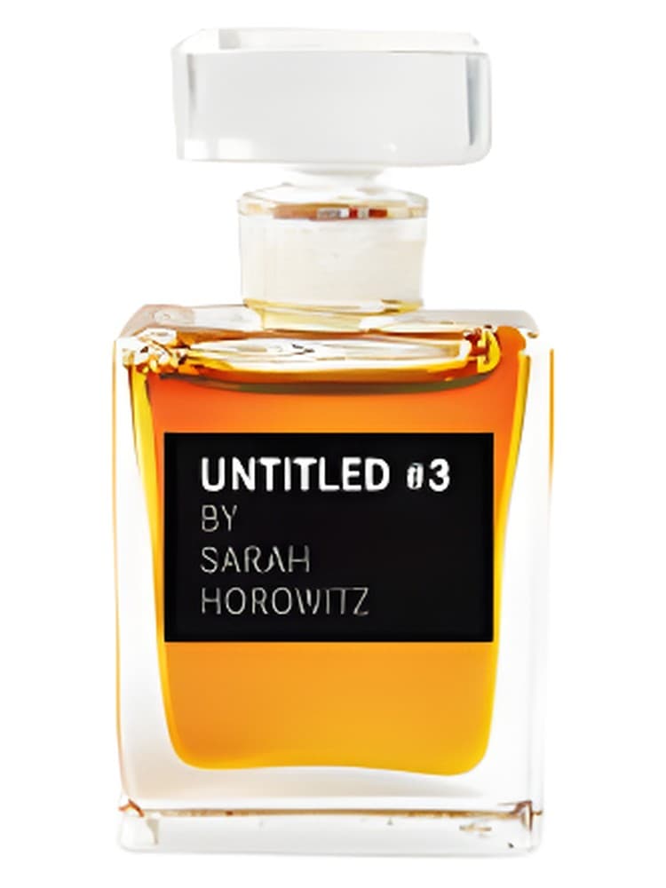 UNTITLED No 3 by Sarah Horowitz