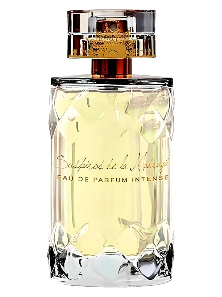 Suspiros de la Madruga Woman