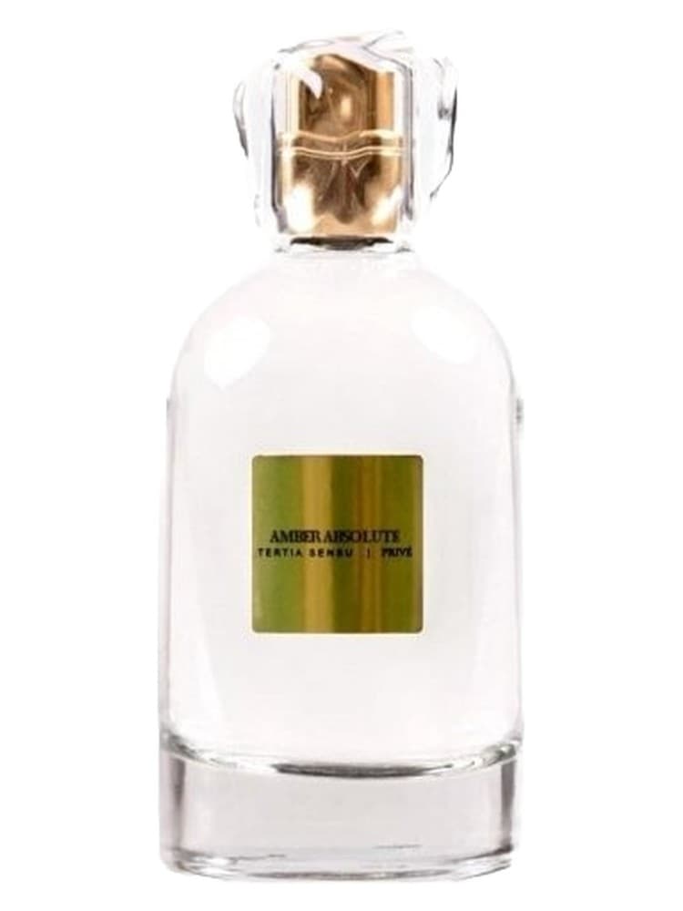 Amber Absolute
